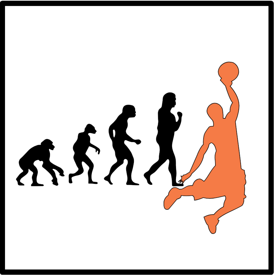 Basketball 2 category icon/image